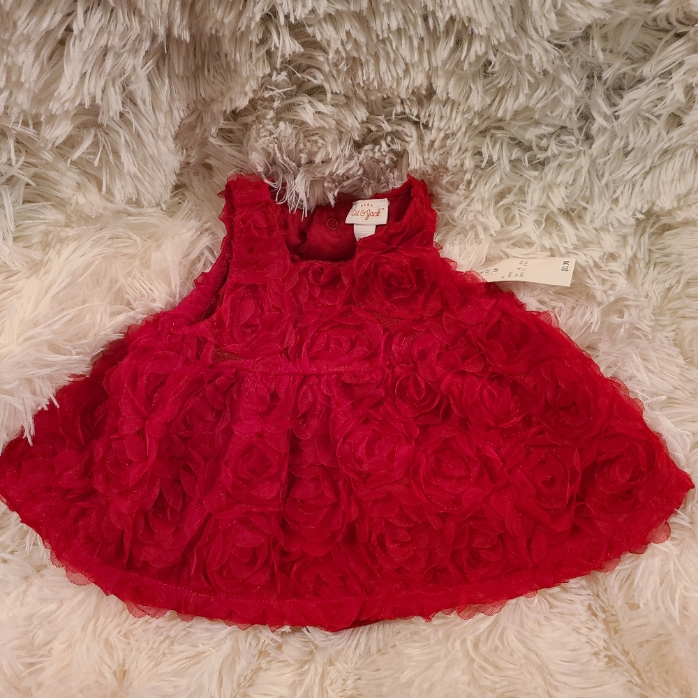 Valentine's Rose's Cat & Jack Dress with Bloomers